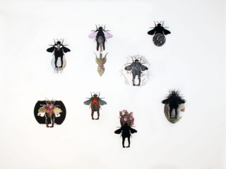 Adaptation - Art by Janet Parker-Smith Australia