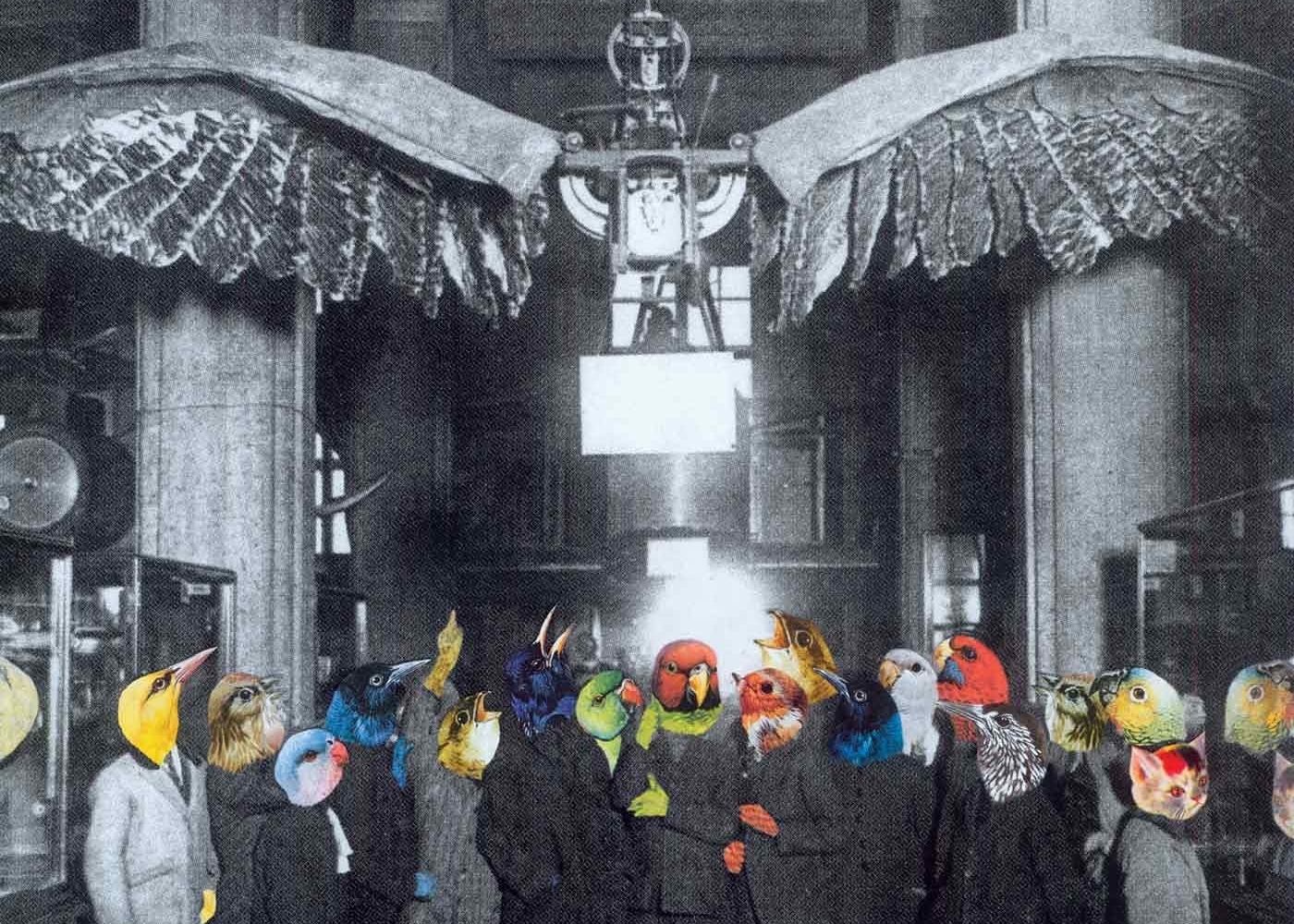 Bird-Crowd-Conversation-1500WB