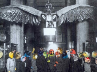 Art - Bird crowd - Art by Janet Parker-Smith Australia