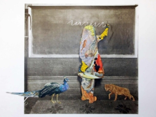 Art - Dictation - Art by Janet Parker-Smith Australia