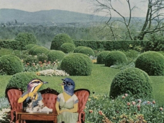 Art - The Tea Party - Art by Janet Parker-Smith Australia
