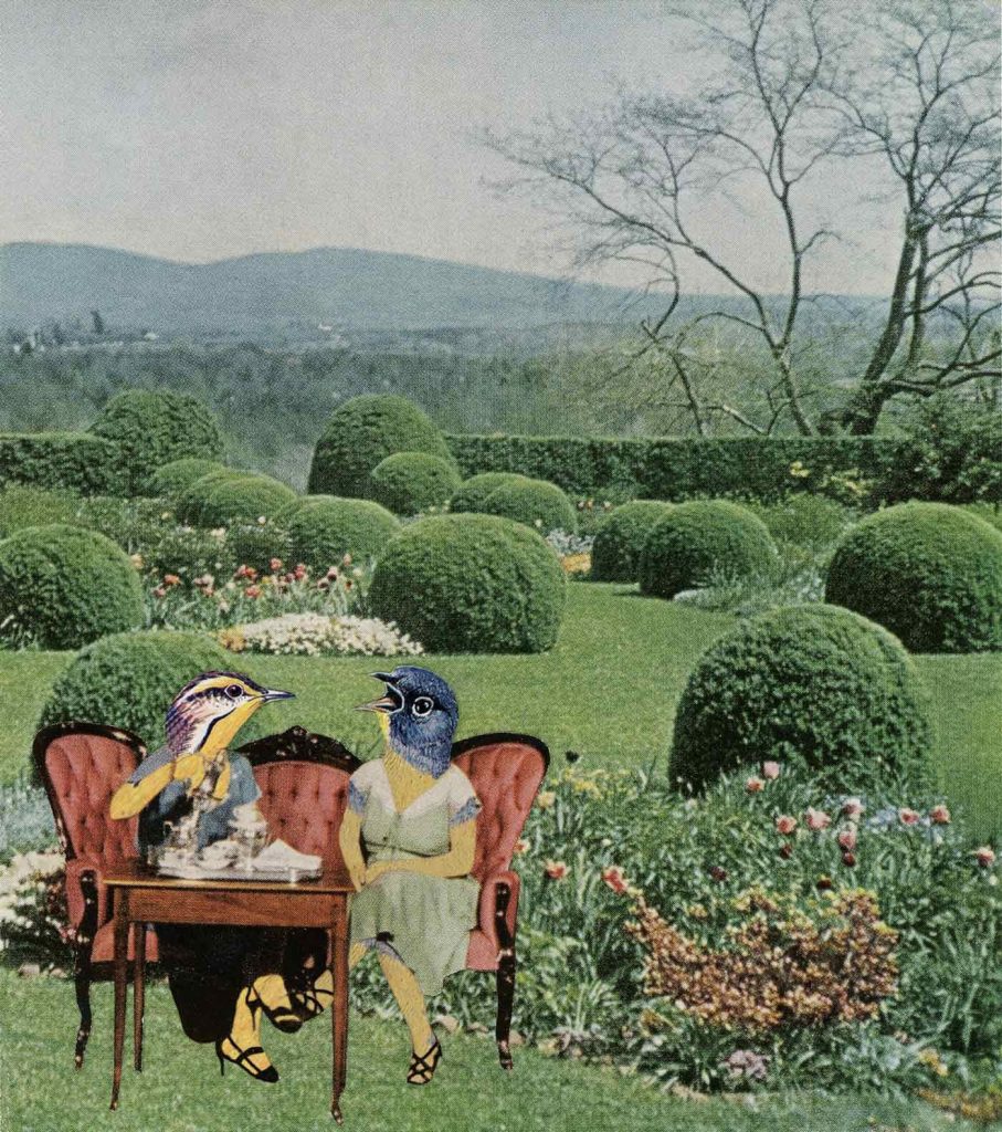 Art - The Tea Party - Art by Janet Parker-Smith Australia