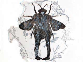 Art - Adaptation #7 - Year 2018 - Art by Janet Parker-Smith, Australia.