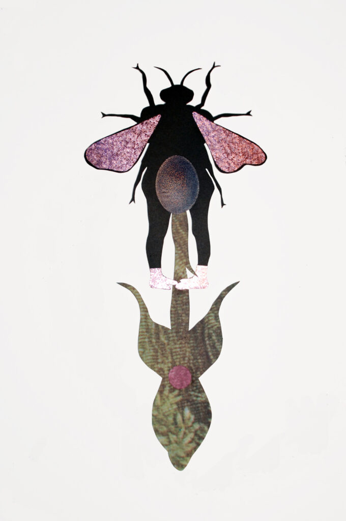 Art - Adaptation #8 - Year 2018 - Art by Janet Parker-Smith, Australia.