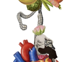 Art - Hearty (For Shirty Science) - Year 2022 Art by Janet Parker-Smith, Australia.