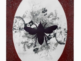 Art - Lost and Found #1 - Year 2022 - Art by Janet Parker-Smith Australia